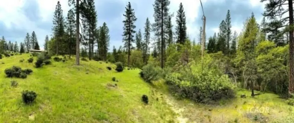 Picture 18