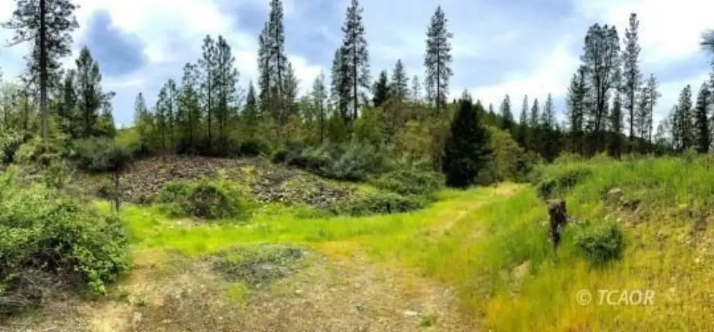 Picture 36