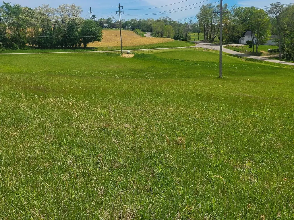 Picture 19