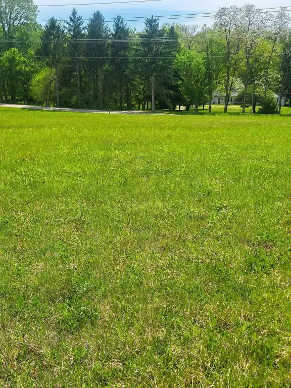 Picture 17