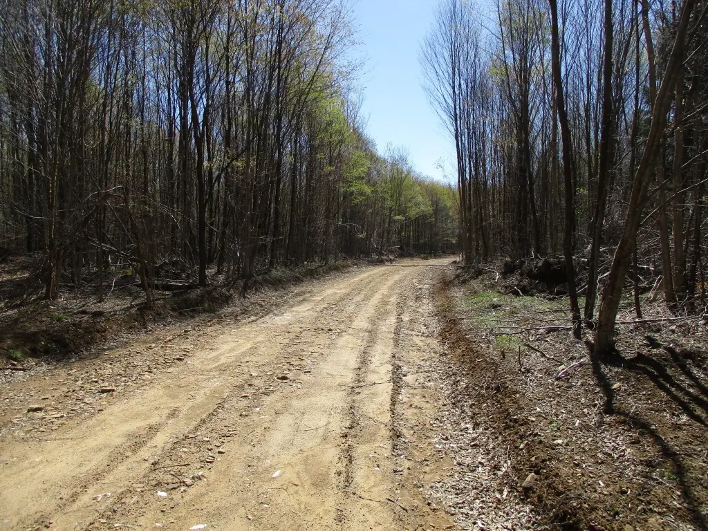 Picture 19
