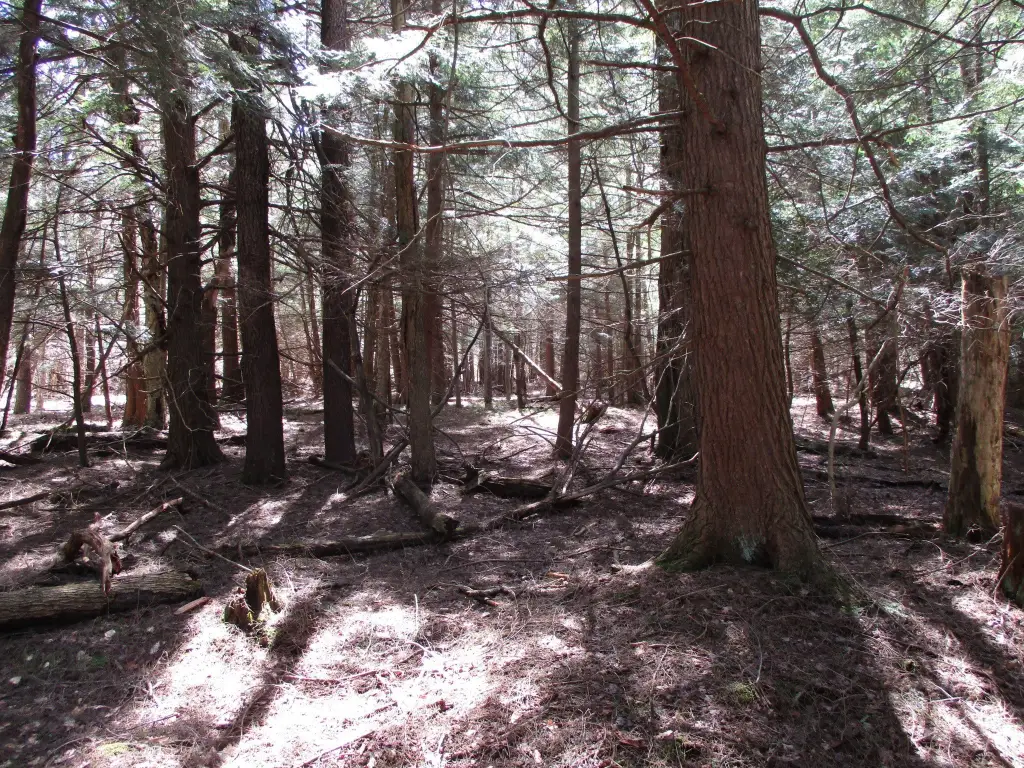Picture 4