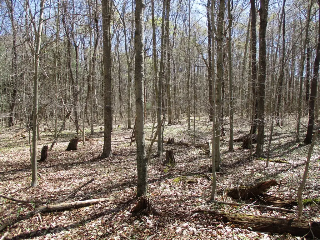 Picture 9