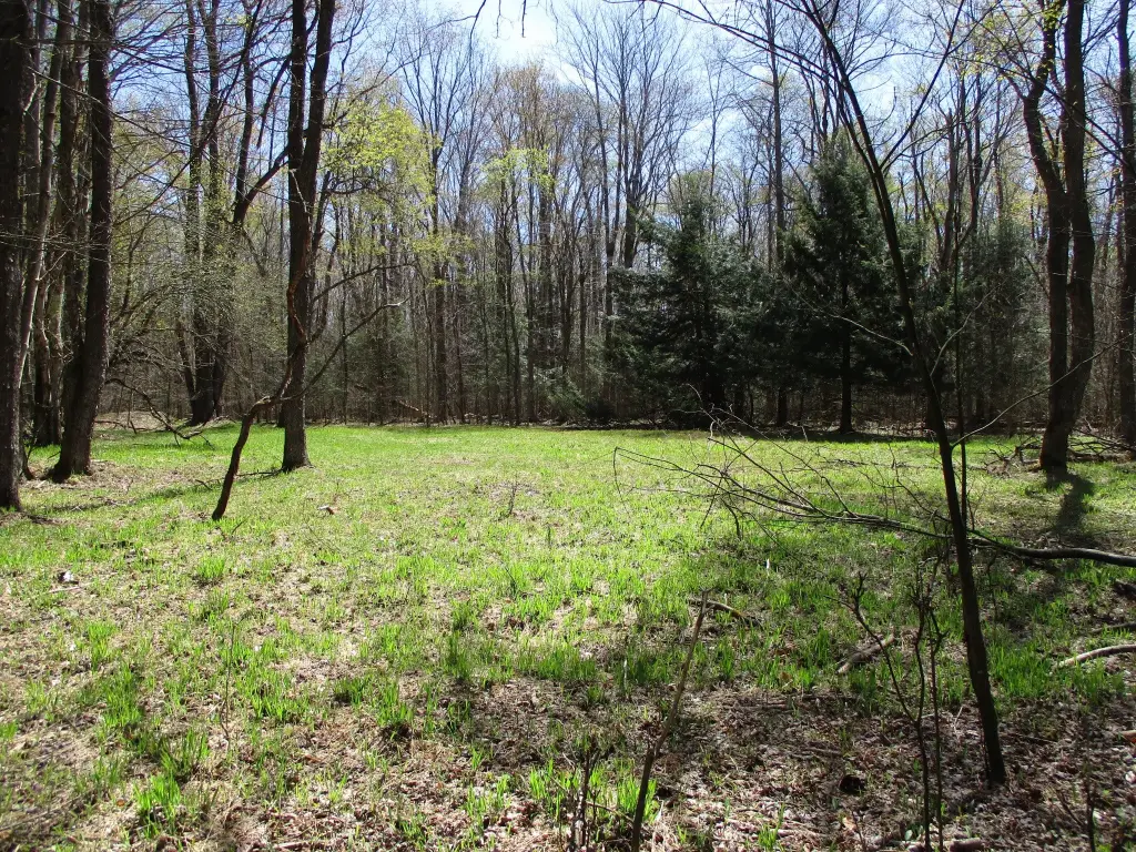 Picture 8