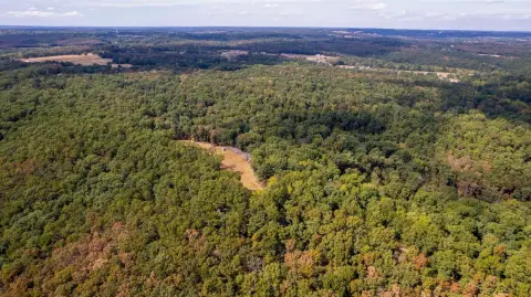 Hunting Land with Food Plots
