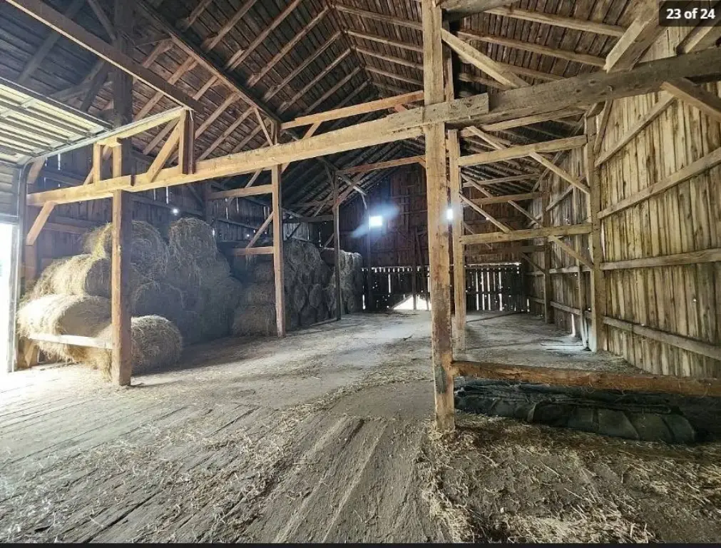 Picture 6