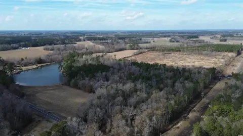 Wooded Commercial Land