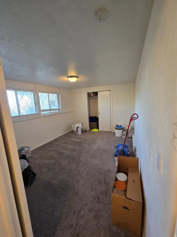 Picture 33