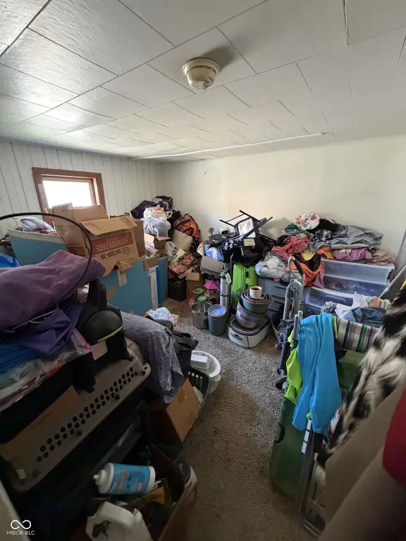 Picture 36