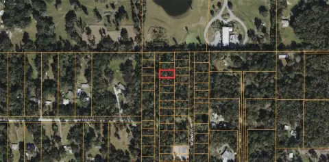 Developing Area Land in Belleview