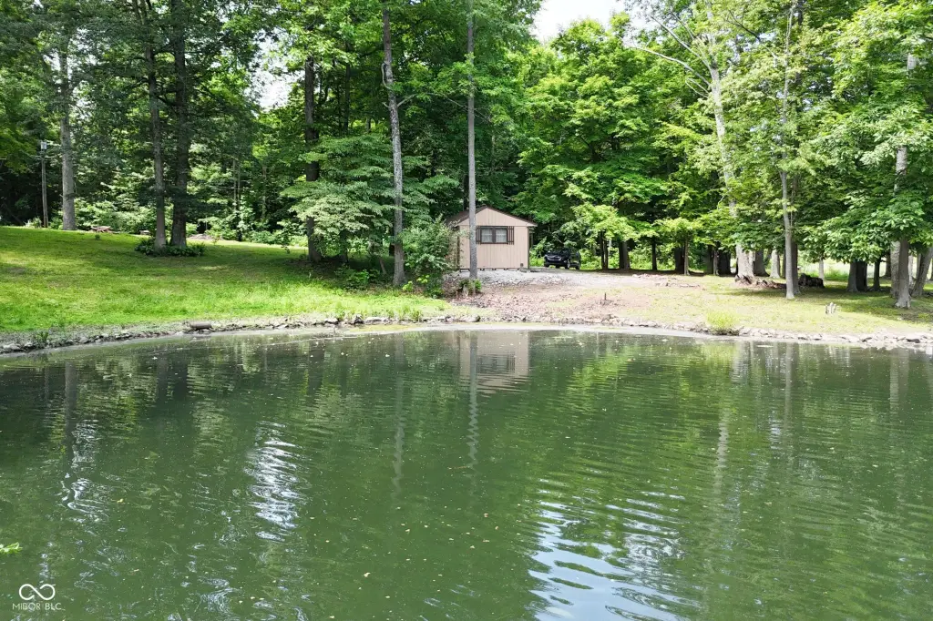 Picture 3