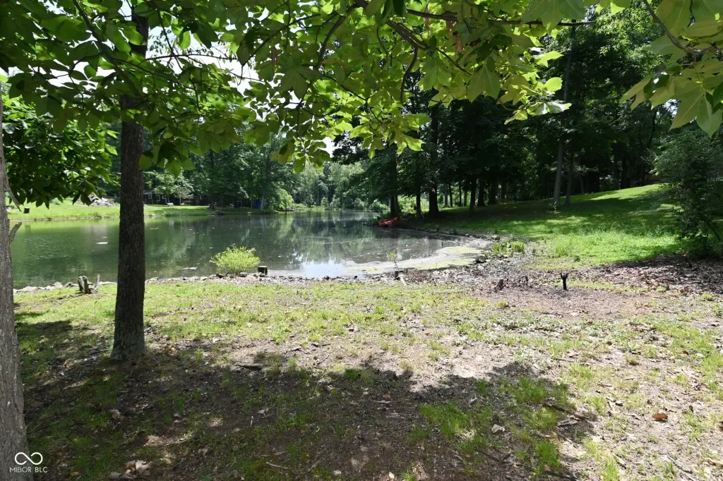 Picture 9