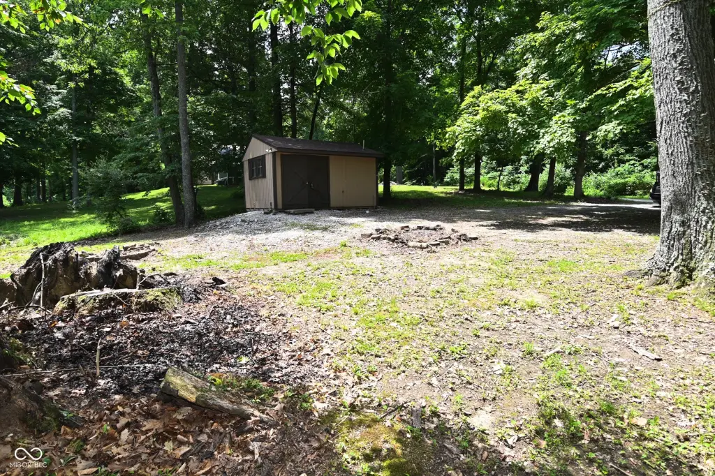 Picture 2