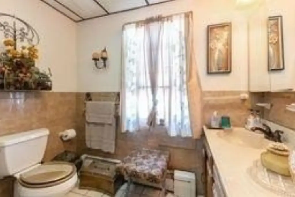 Picture 15
