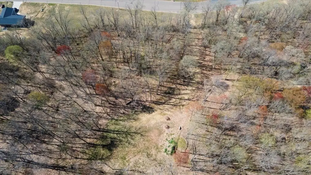 Picture 28