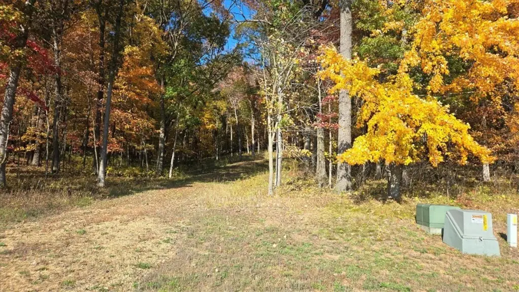 Picture 13