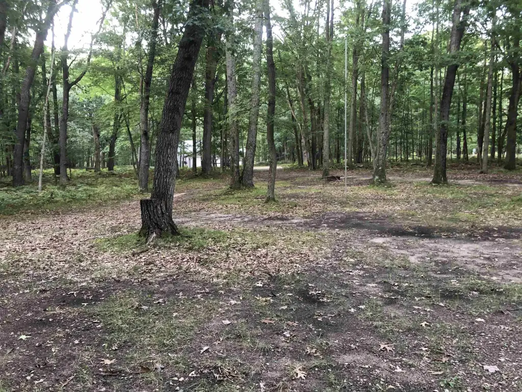 Picture 5