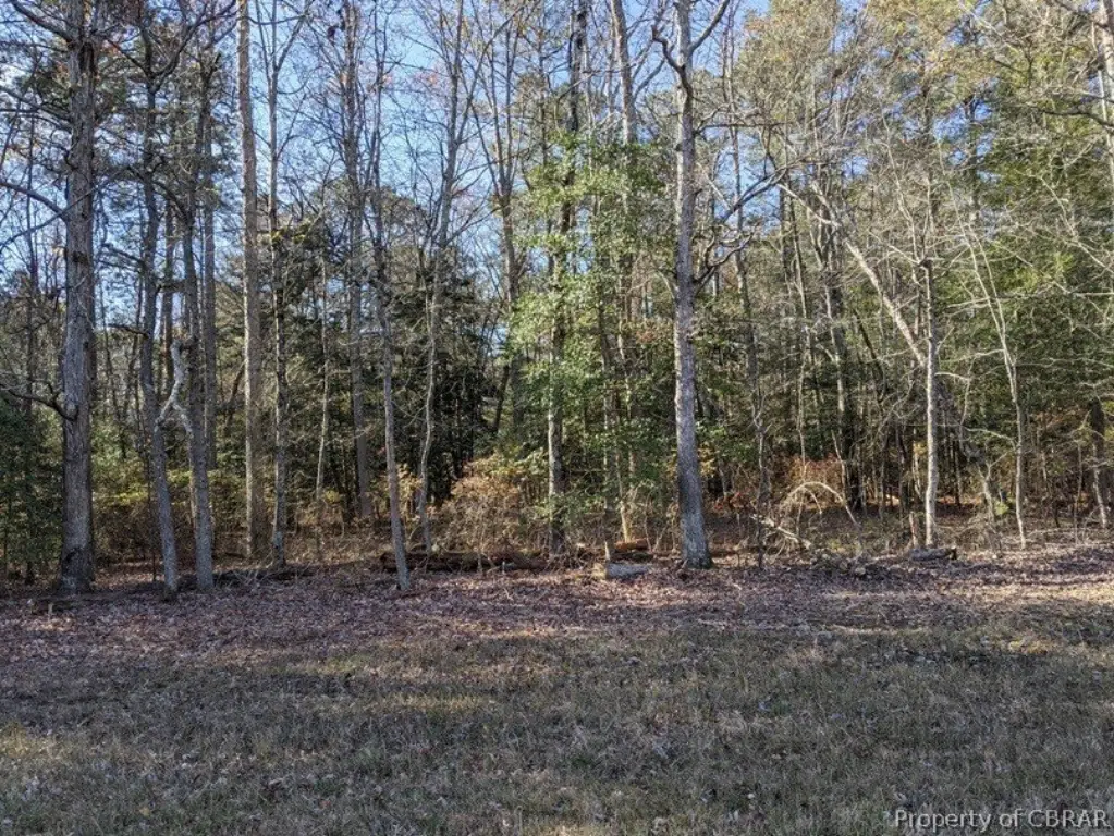 Picture 9
