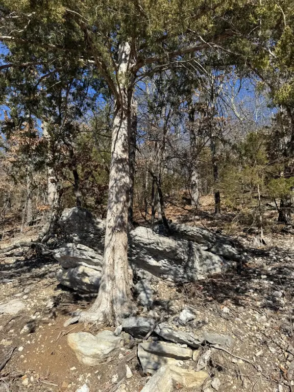 Picture 17