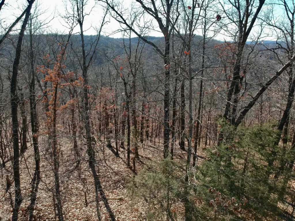 Picture 16