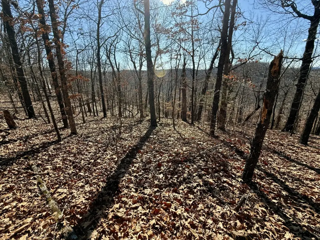 Picture 15