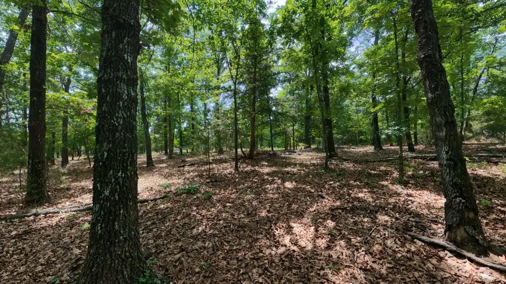 Picture 16