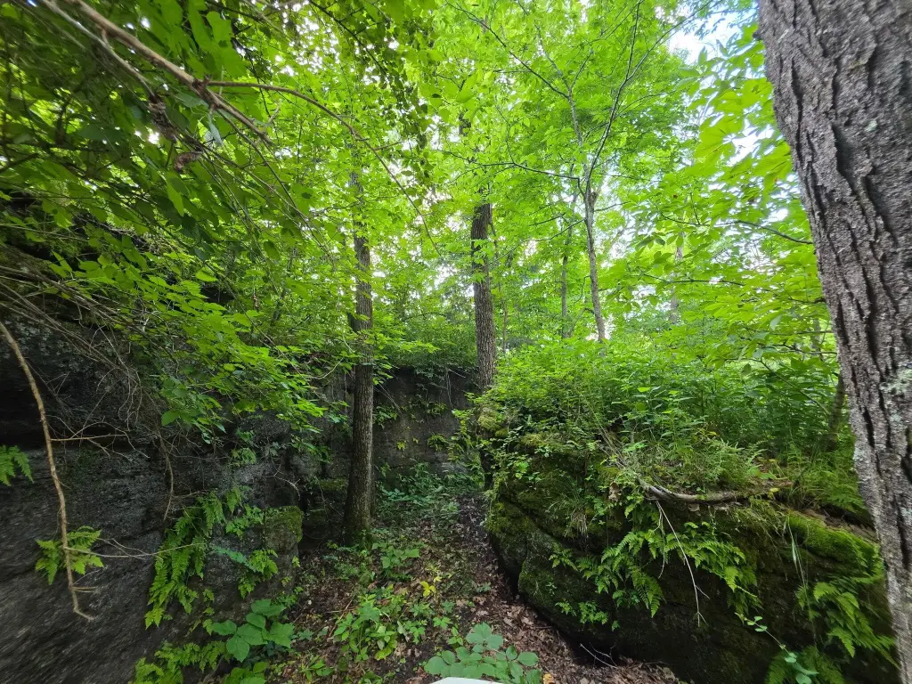 Picture 22