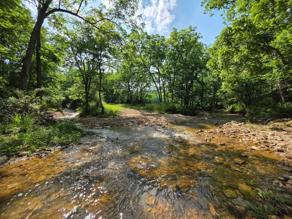 Picture 17