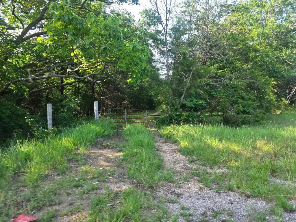 Picture 48