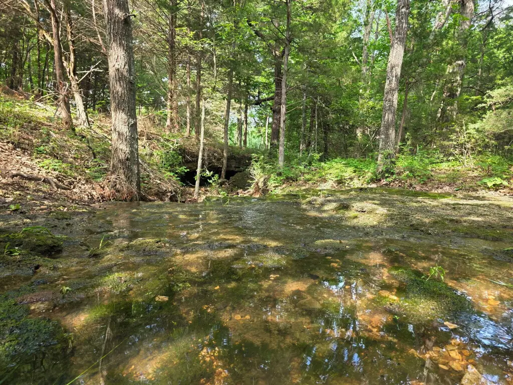 Picture 27