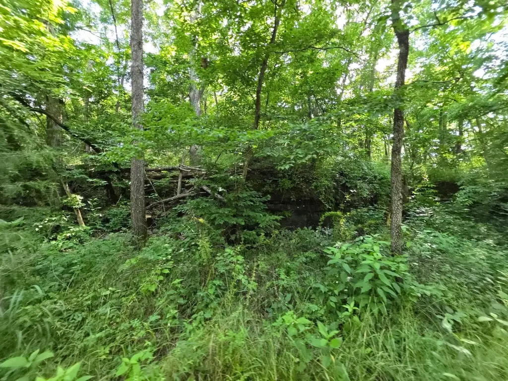 Picture 21