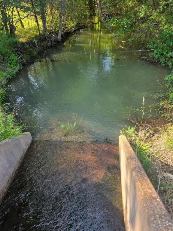 Picture 49