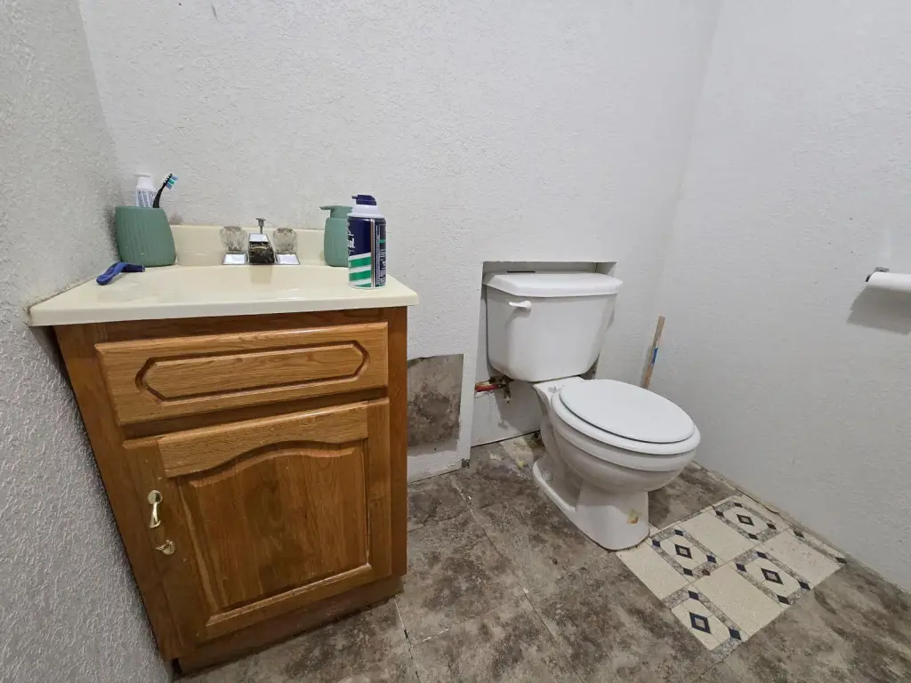 Picture 19