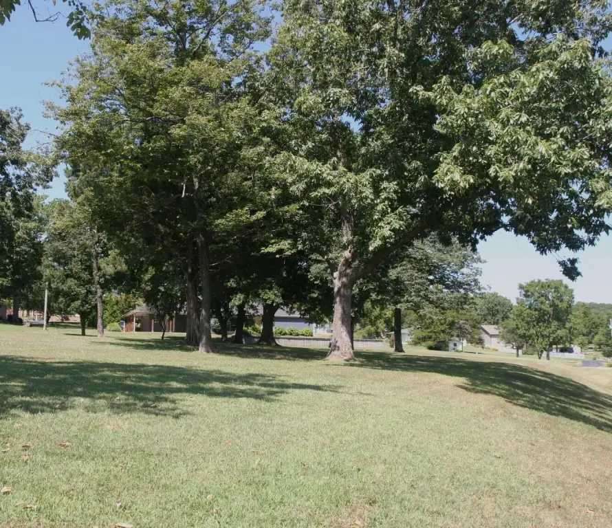 Picture 6