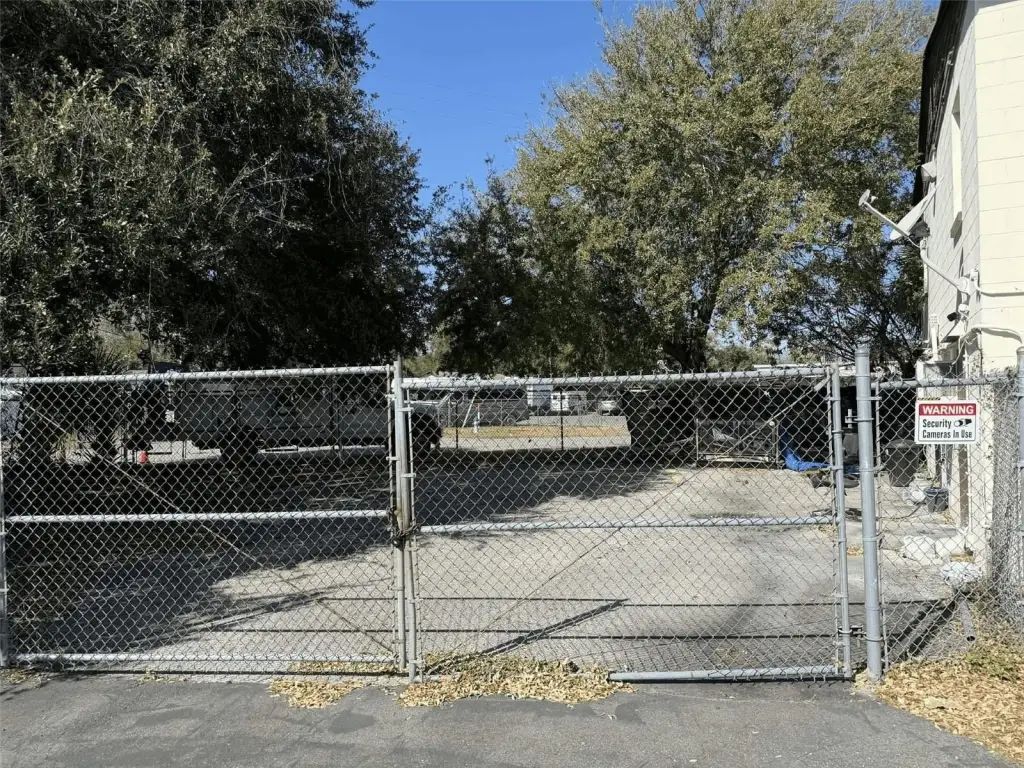 Picture 5