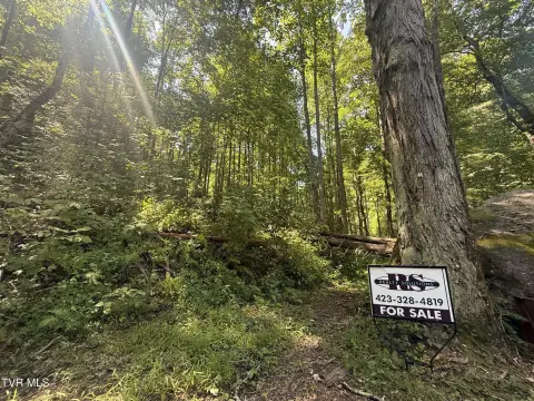 Mountain Hunting Land