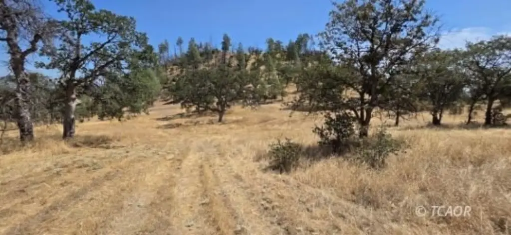 Picture 32
