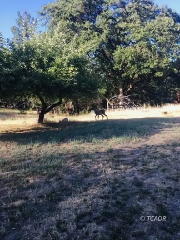 Picture 34