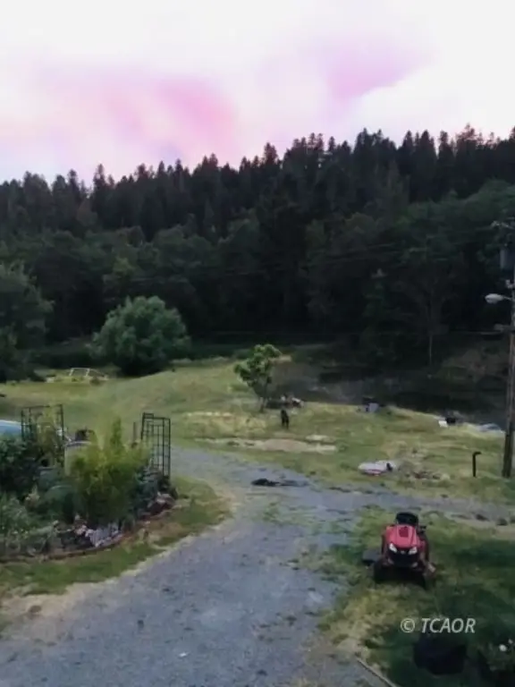 Picture 33