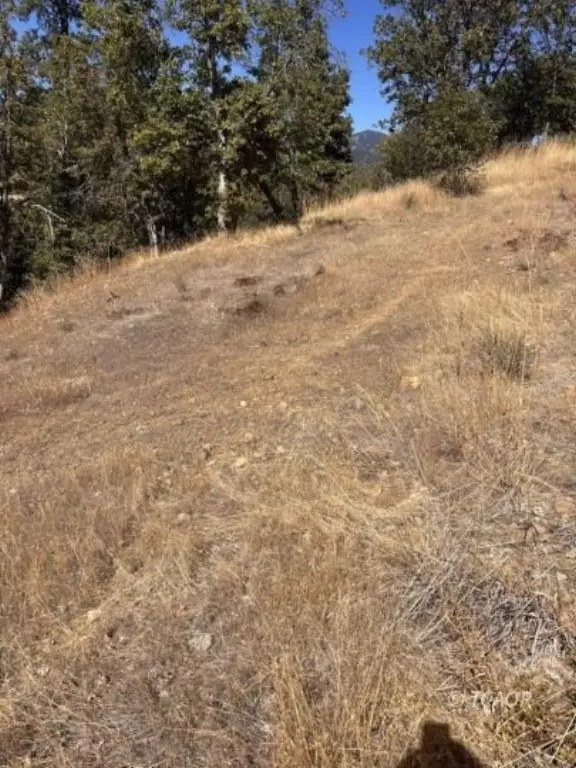 Picture 41