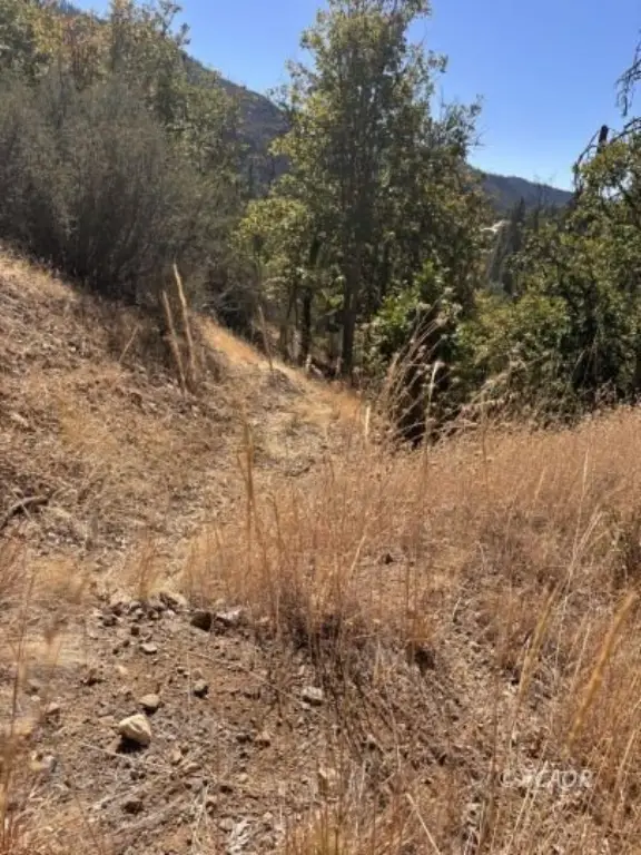 Picture 43