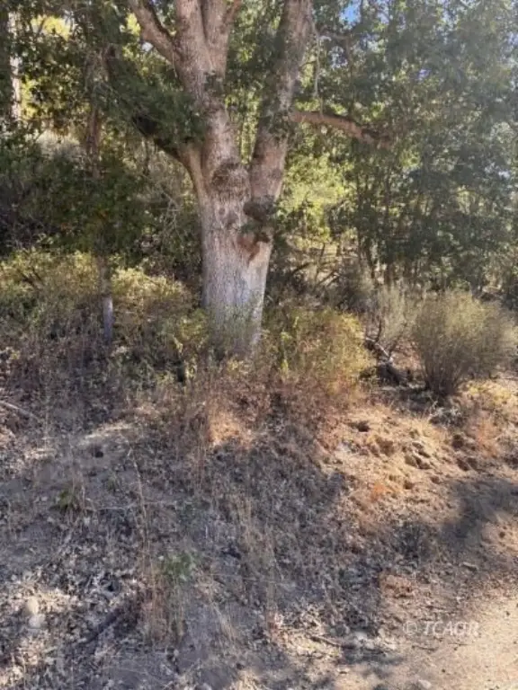 Picture 22