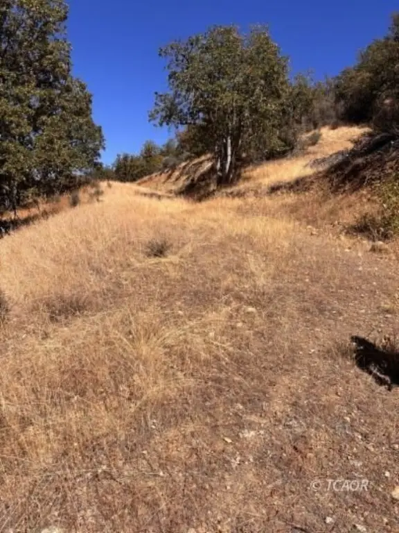 Picture 27