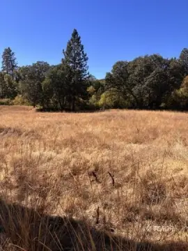 Agricultural Land with Creek