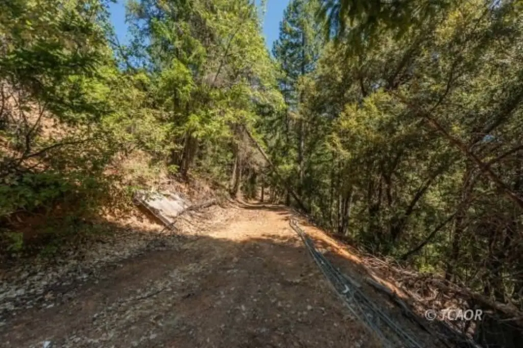 Picture 25