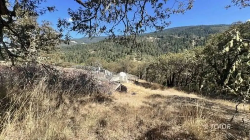 Picture 30