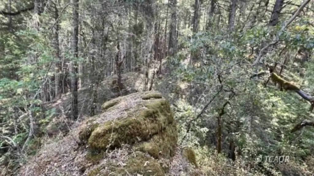 Picture 35