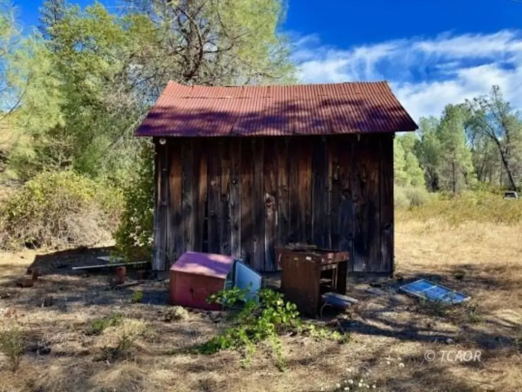 Picture 4