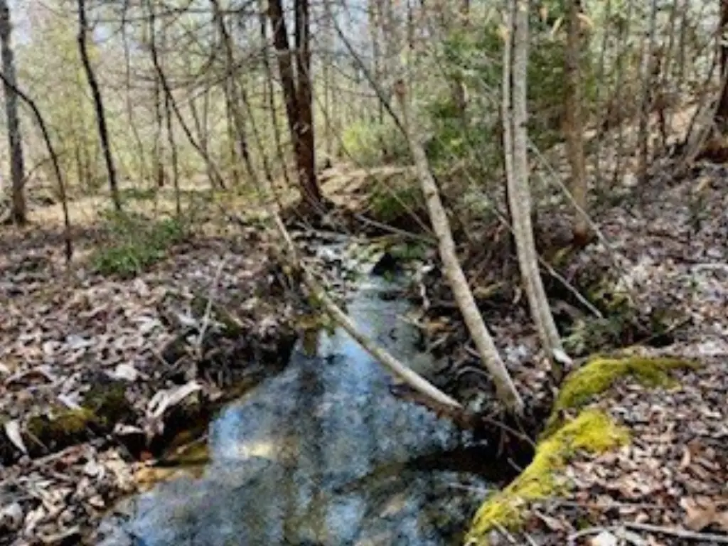 Picture 10
