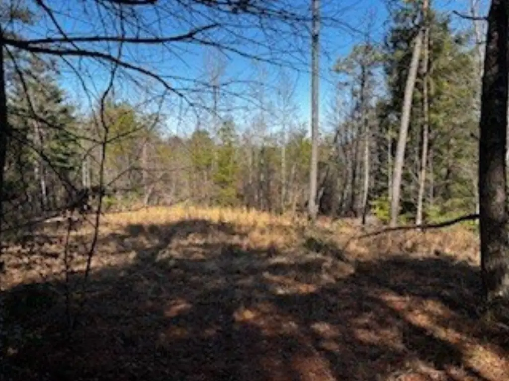 Picture 8